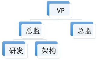 五維協同 研發、產品、架構、業務與項目管理下的多元組織架構建設與市場營銷策略融合